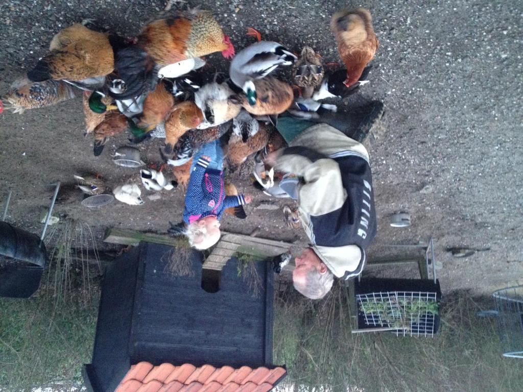 Farm Overleekerhoeve Monnickendam Exterior foto